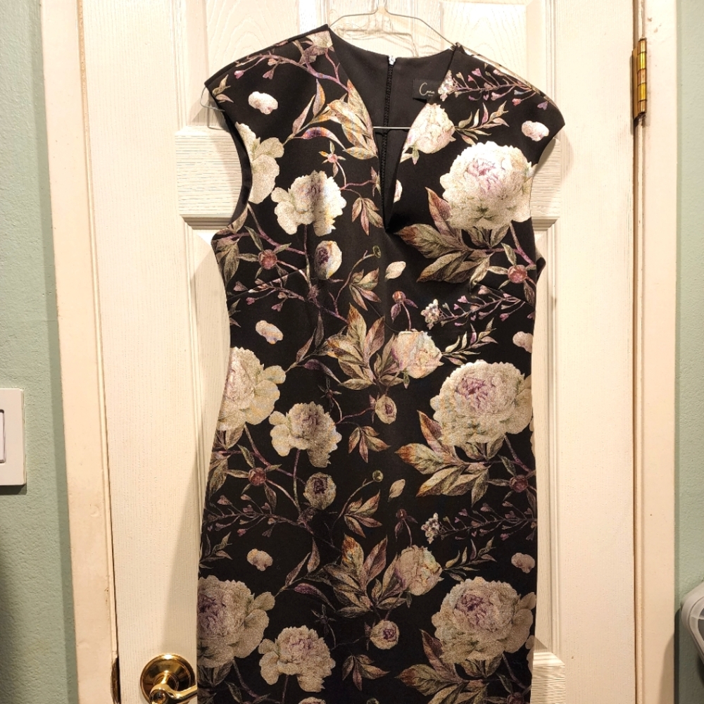 Floral dress by Connected.  Slight plunging neckline and cap sleeves
